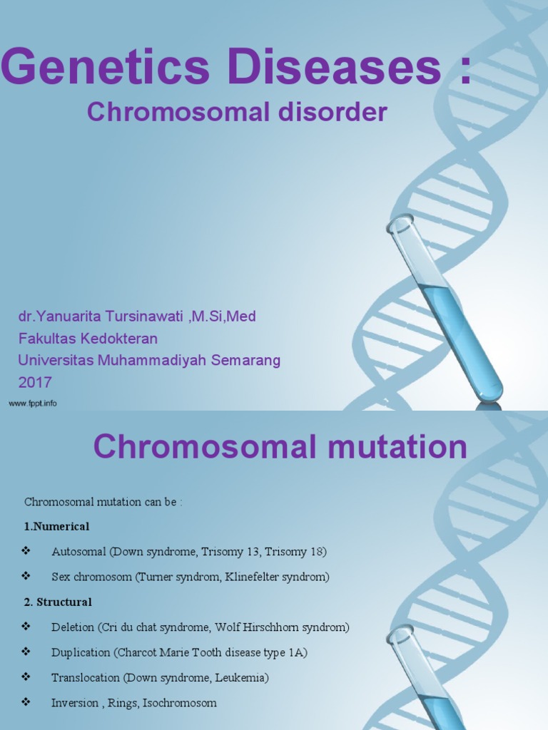 Nondisjunction and Down Syndrome Overview | PDF | Down Syndrome | Genetics