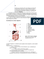 sistemadigestivo.doc