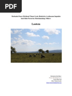Download Peace Dividend Marketplace Timor-Leste Impact Assessment Report - Lautem Tetun by Peace Dividend Trust SN48043338 doc pdf