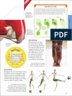 Human Body - A Visual Encyclopedia (PDFDrive) - 59-68