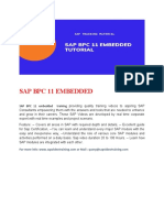 Sap BPC 11