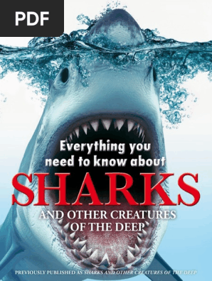 Everything You Need To Know About Sharks Pdfdrive Com Whales Fish