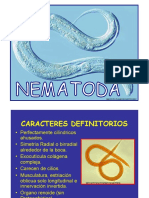 Características y taxonomía de los nematodos