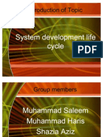 Introduction of Topic: System Development Life Cycle System Development Life Cycle