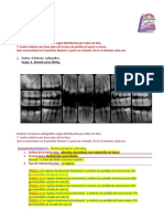 Grupo Informe Radiografico