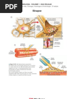 Biologia - Volume 01 - Das Células 16 Sinapse