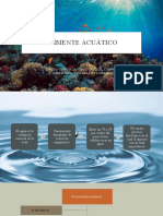 Ambientes acuáticos y sus propiedades