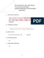 plandeprcticaspre-profesionalesuss-170201214925.pdf