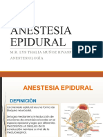 ANESTESIA EPIDURAL - CAUDAL [Autoguardado]