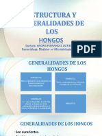 Diapositiva Hongos Estructura y Generalidades