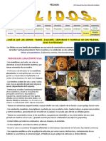 00___felinos____yo.pdf