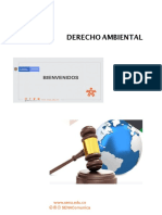 DERECHO AMBIENTAL.pdf