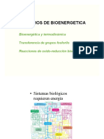 25 A. Teórico 4. Bioenergética y Tipos de Reacciones Bioquímicas.