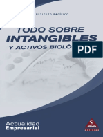 TODO SOBRE INTANGIBLES.pdf