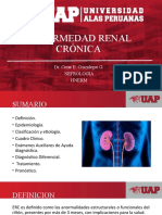 Enfermedad renal crónica guía completa