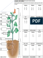 Las-plantas-y-sus-partes.pdf