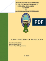GUIA#5 PROCESOS DE FOSILIZACION II-2020 