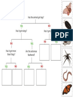 animalflowchart1[1].pdf