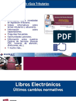 COPE LIBROS Y REGISTROS ELECTRÓNICOS.pdf