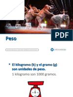 Articles-27596 Recurso PPT