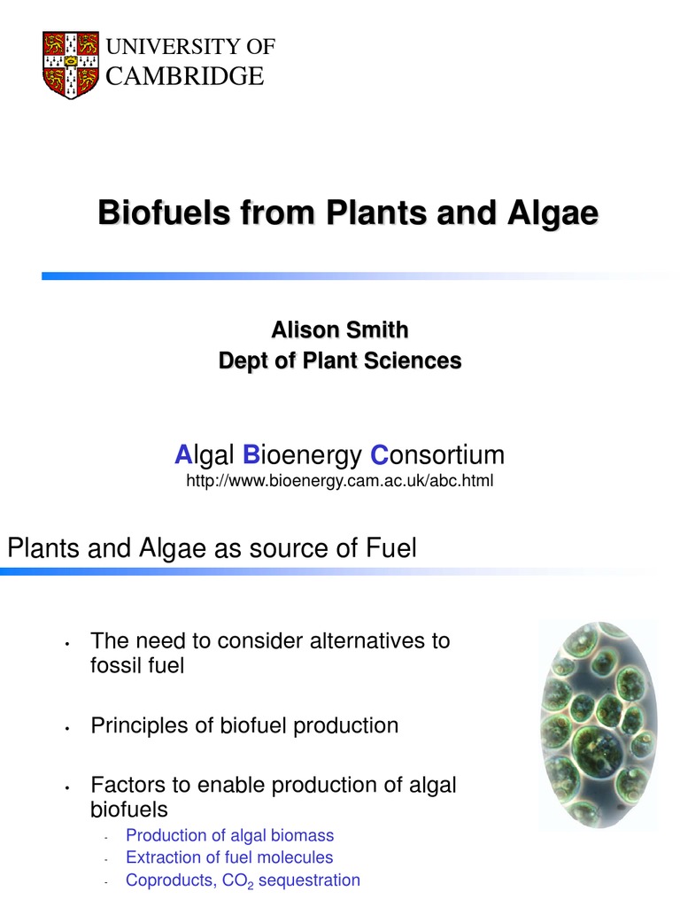 Algal Biofuels: Production and Challenges | PDF | Biofuel | Algae Fuel