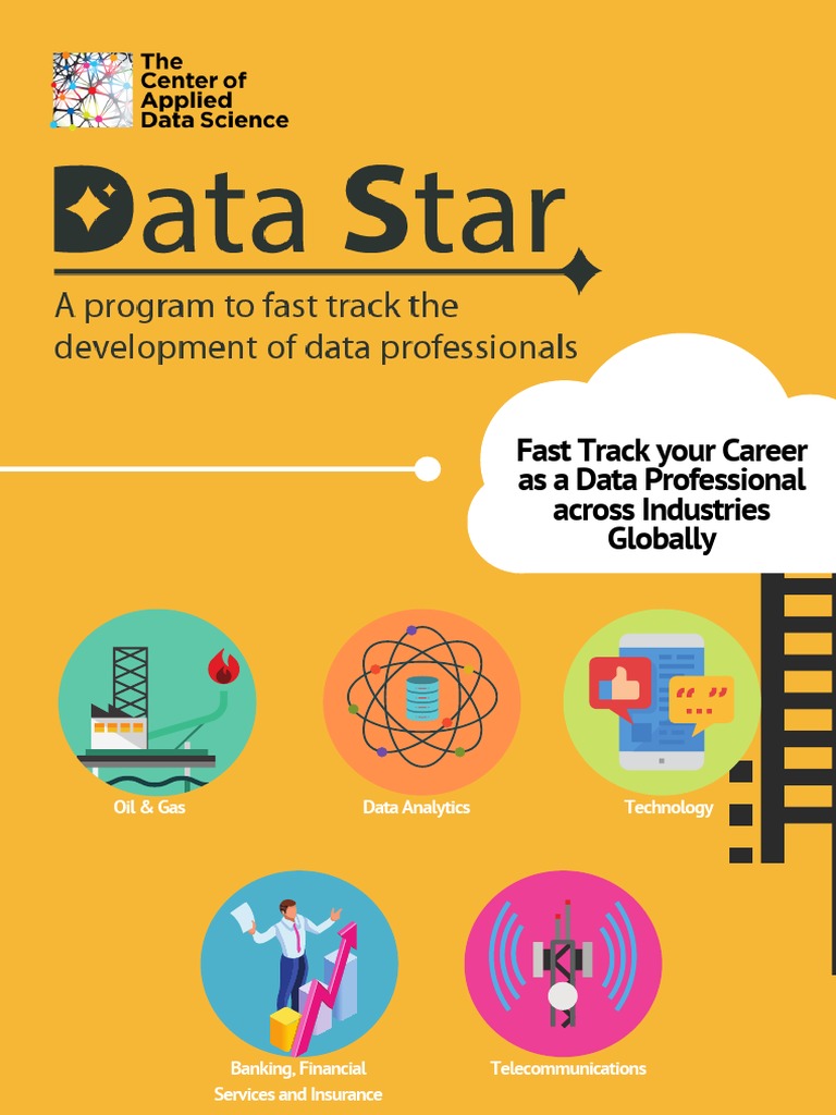 Brochure Data Star V3 Pdf Data Science Analytics
