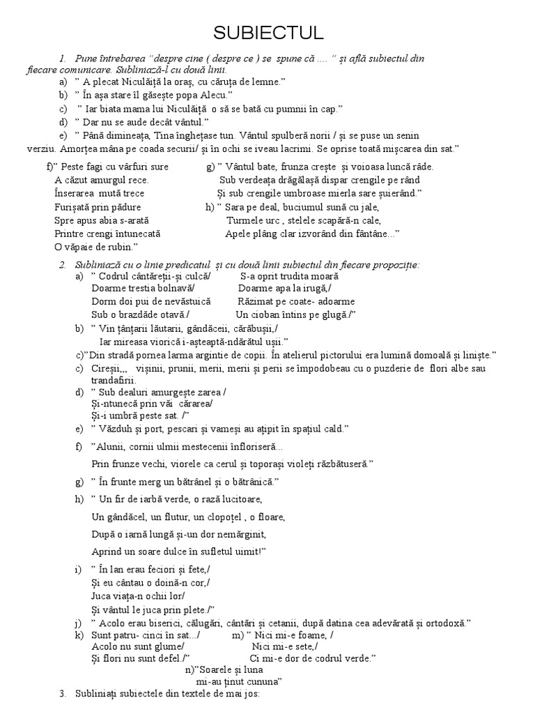 Subiectul - Docx 0 | PDF