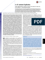 Mesoscale Texture of Cement Hydrates: Significance