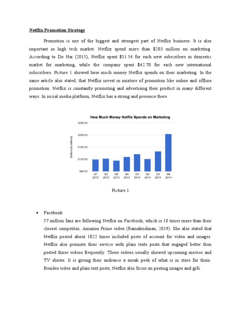 Netflix Promotion Strategy PDF Netflix Hashtag