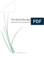 The Body Meridian Rev 1