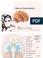 12 cranial nerves...