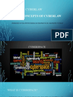 Uyl 2612 Cyberlaw: Topic 1 Basic Concepts of Cyberlaw