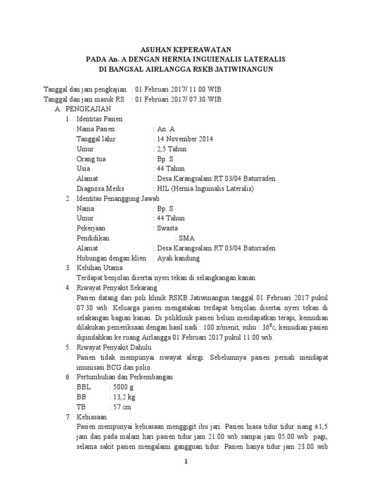 Asuhan Keperawatan Hernia Inguinalis Anak Pdf Kesehatan Holistik