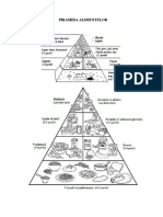 Fisa de Lucru Piramida Alimentelor