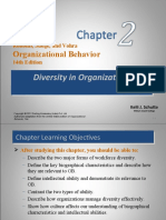 Organizational Behavior: Diversity in Organizations