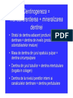 Curs 6.pdf