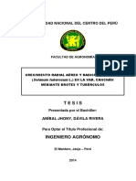 Davila Rivera.pdf