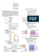 Human Body Tissue