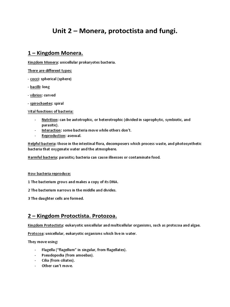 Monera, Protoctista, and Fungi Overview | PDF | Protozoa | Fungus
