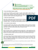 Bir 001 Recomendaciones Hurtoa A Celulares PDF