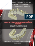 FOLLETO Técnica de Visualización