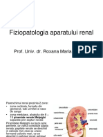 Renal Tot PDF