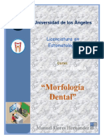 2.1. Morfología Dental