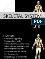 Skeletal System