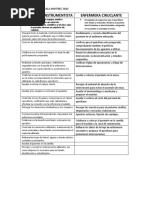 Escala de Bromage | PDF