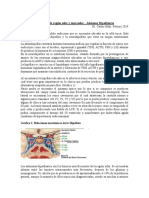 Tumores Hipofisiarios PDF