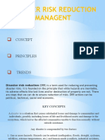 Disaster Risk Reduction Managent