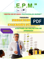 11-AUDITORIA DE PROYECTOS DE INVERSION.pdf