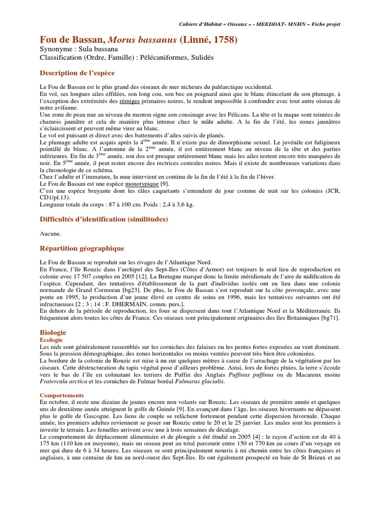 Fou de Bassan PDF | PDF | Oiseaux | Paraves