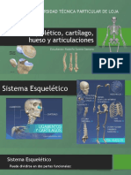 Semana 2 Sistema Esqueletico